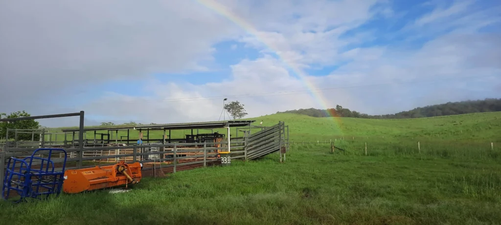 Gold at the end of the rainbow