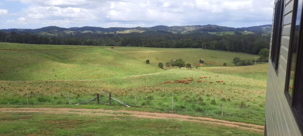 Views from the homestead