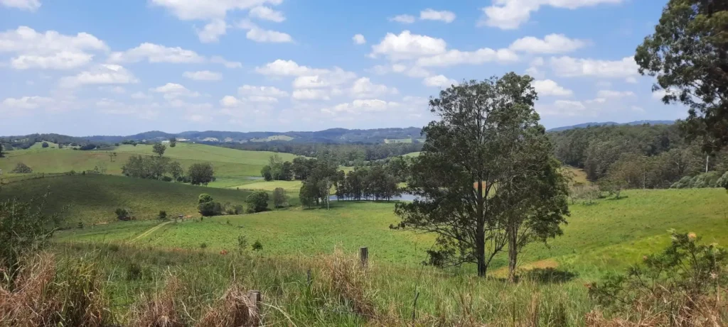 Views over the property